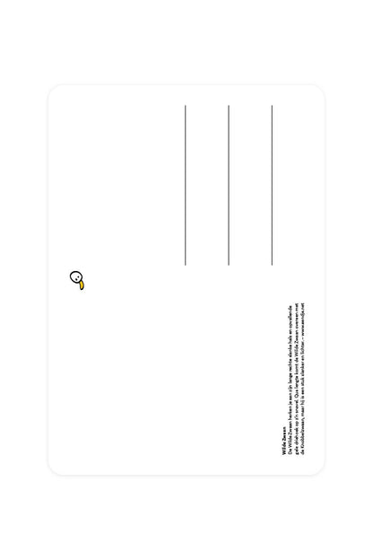 Postcard with Wild Swan