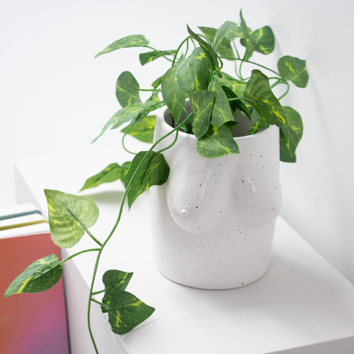 White Breasts Vase