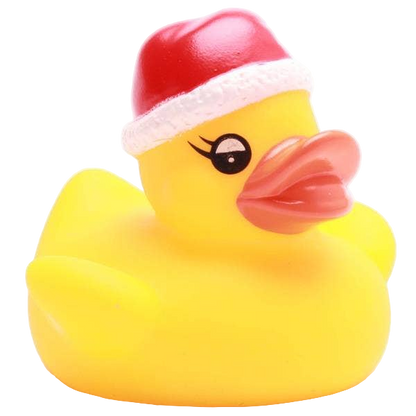 Petit Canard de Noël