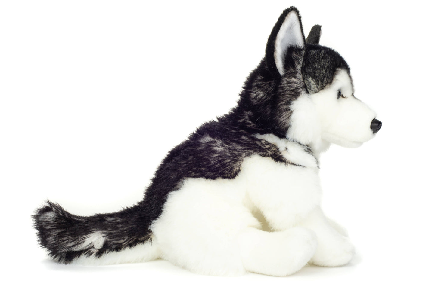 Sitting Husky Plush Toy