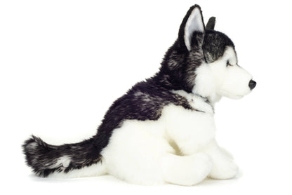 Sitting Husky Plush Toy