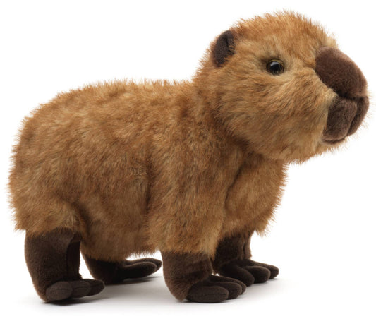 Peluche Capybara, debout