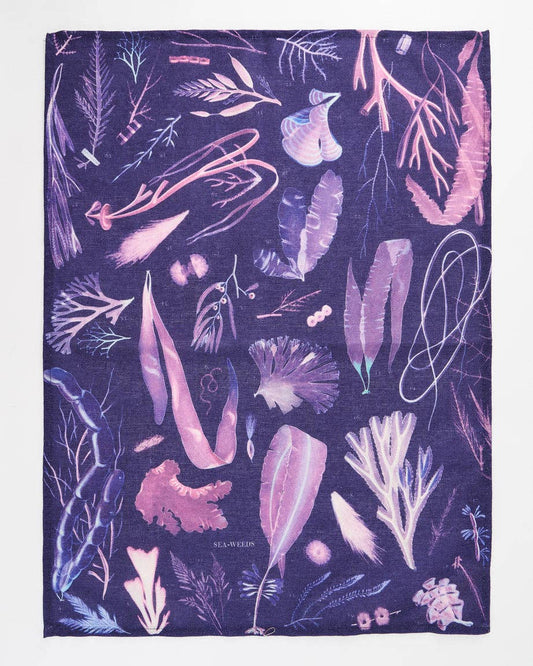 Torchon en Algues – produit scientifique Cognitive Surplus EU, vue 1