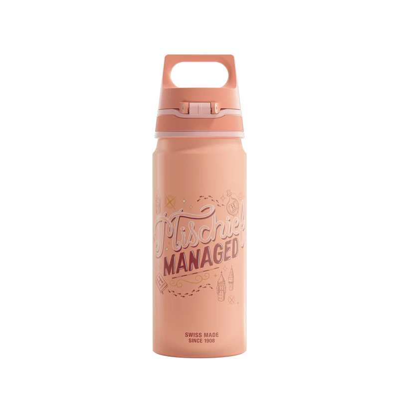 WMB ONE Kids Hermione Granger 0.6 L Water Bottle 