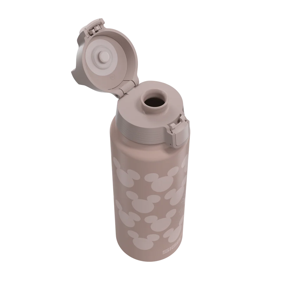 Gourde WMB ONE Mickey Mouse Pattern 1 L