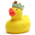 Canard Roi