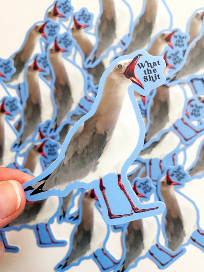 Meeuwsticker "Wat een onzin!"