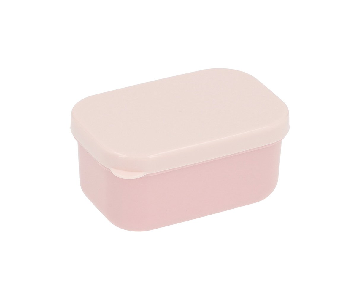 Insect Bento Lunch Box