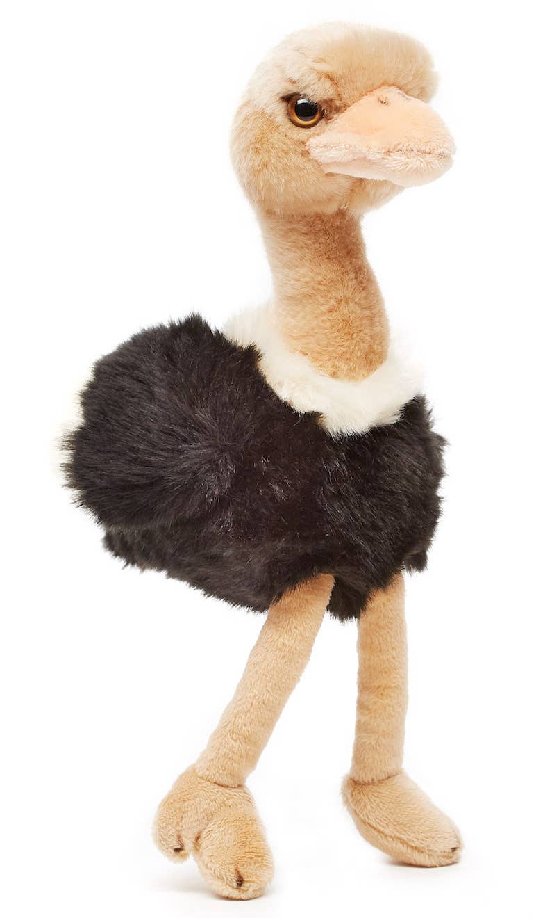 Peluche Autruche Baby Shower
