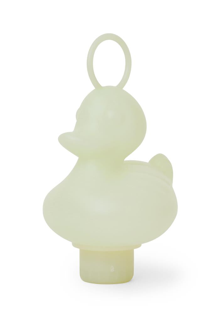 Fishing Ducks Box - Glow