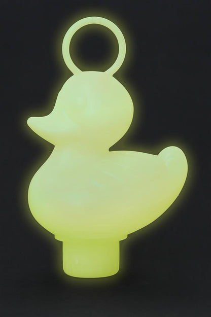 Fishing Ducks Box - Glow