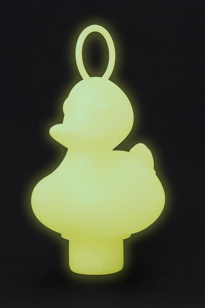 Fishing Ducks Box - Glow