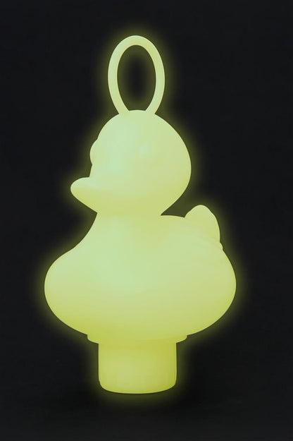 Fishing Ducks Box - Glow