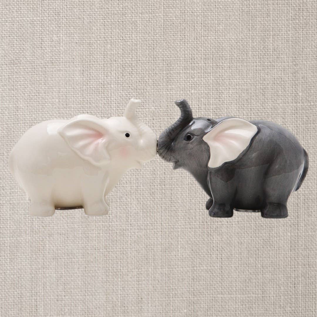 Salière et poivrière Éléphants