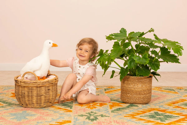 Pluche gans