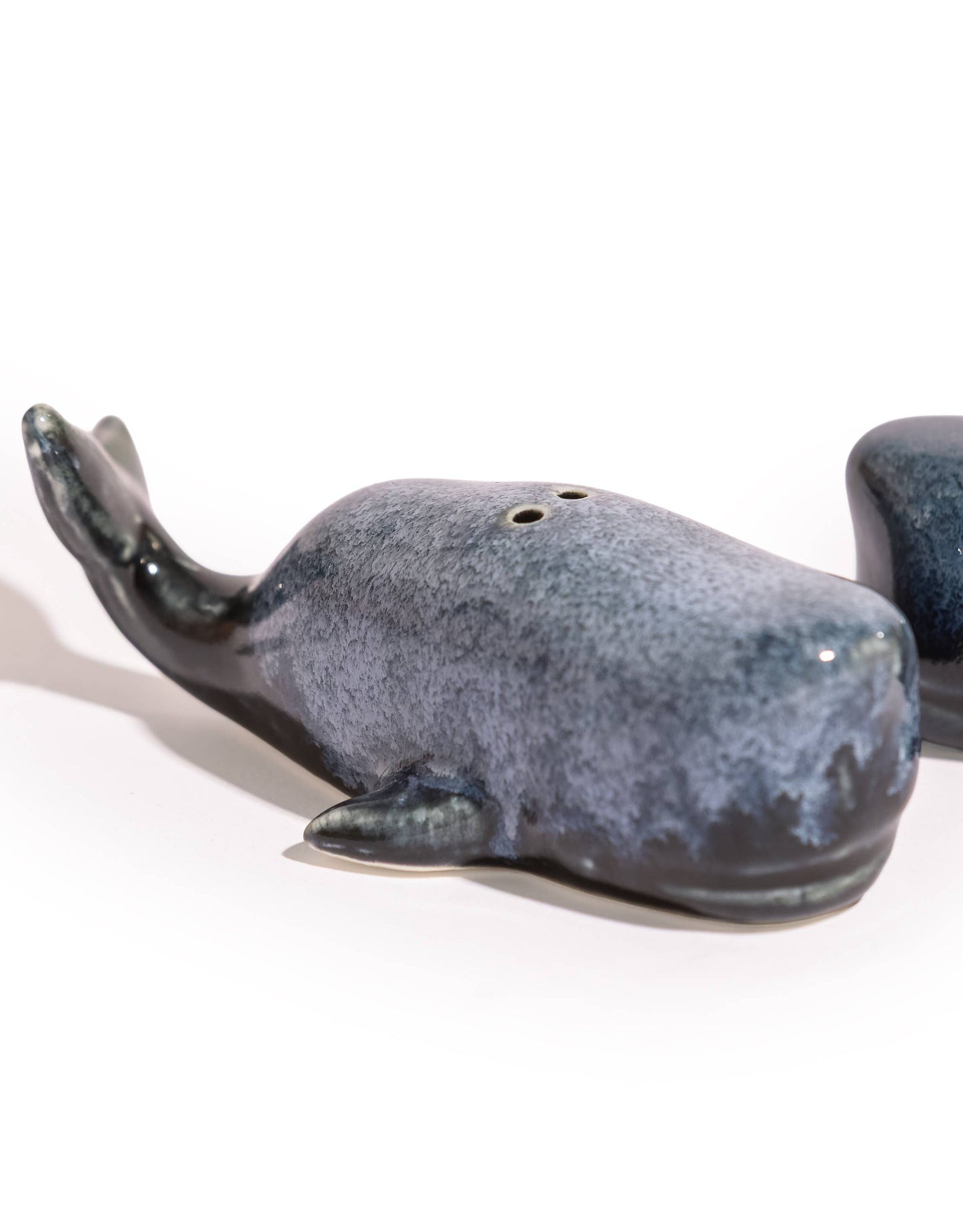Sel et poivre Baleine bleue