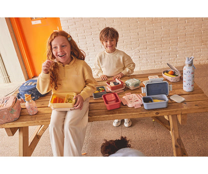 Grote lunchbox voor in de auto