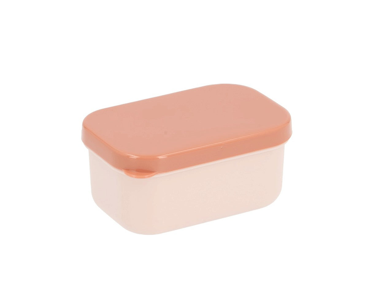 Geometric Nature Bento Lunch Box