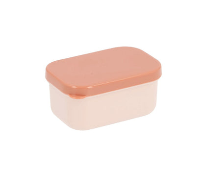 Geometric Nature Bento Lunch Box