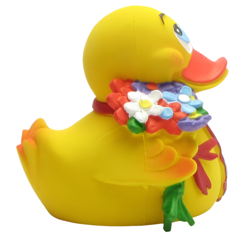 Romantic Duck
