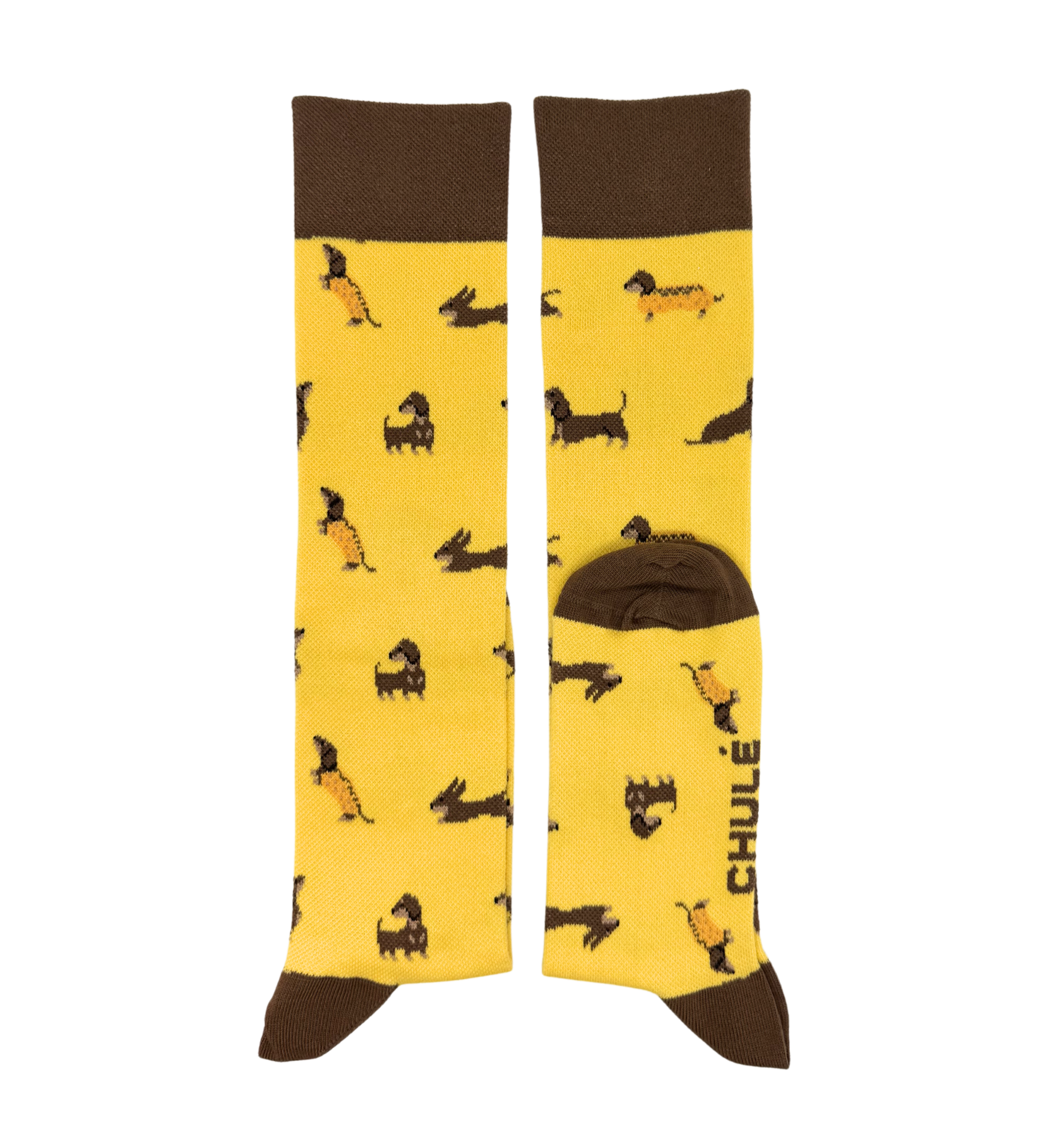 Chaussettes de Compression « Kiko – Chien Teckel » - Chulé
