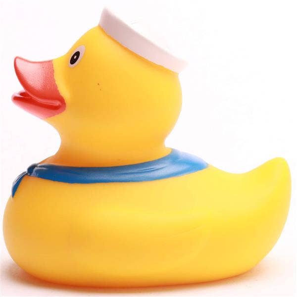 Canard Marin