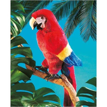 Marionnette à main Ara/Ara rouge 2362 Folkmanis réaliste