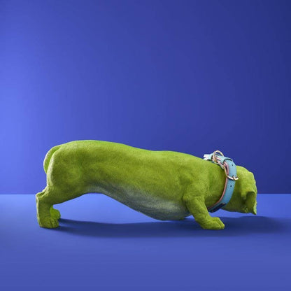 Chien Teckel Wilfried M. Collier, Résine poly verte