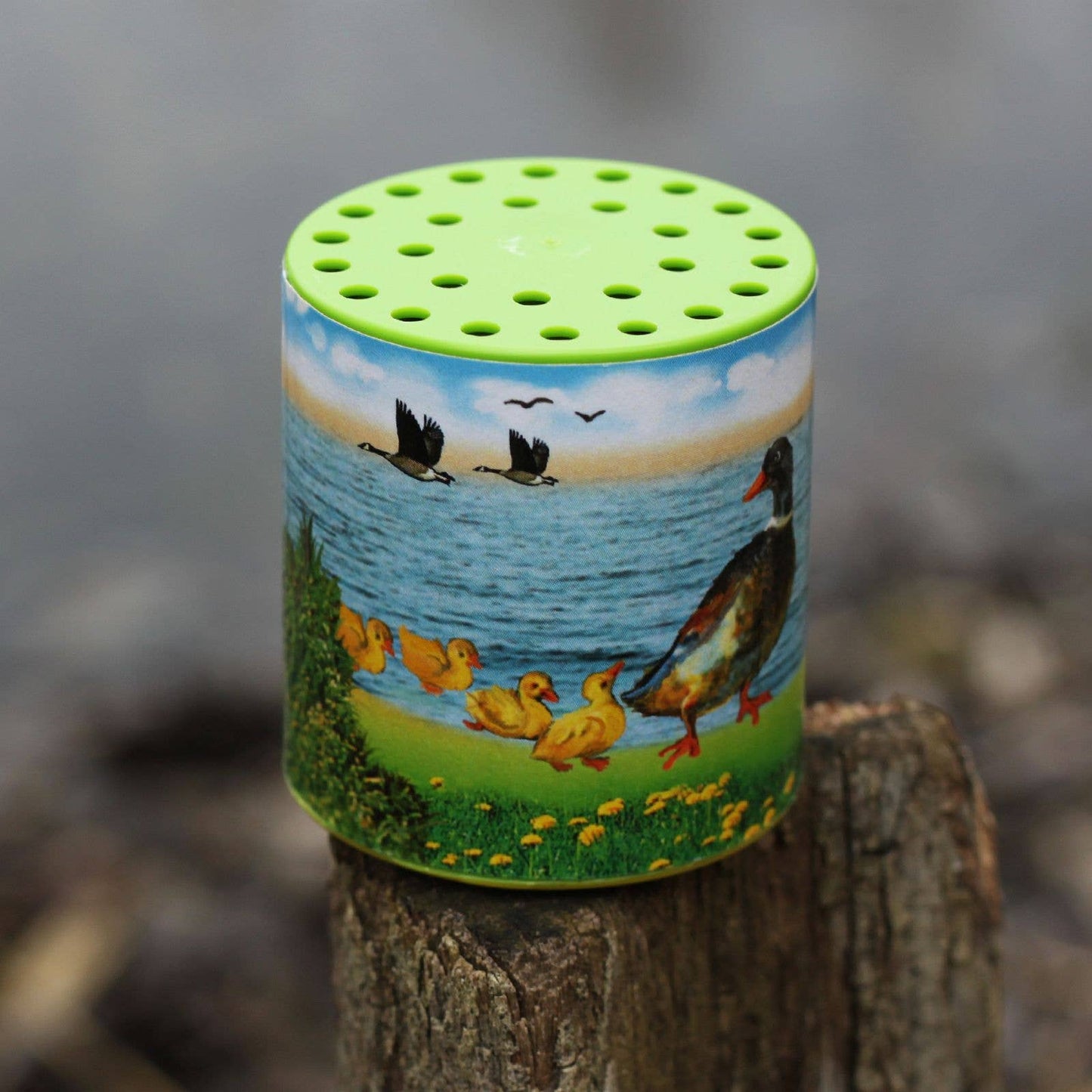 Boîte à sons d'animaux - Canard