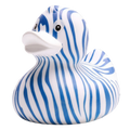 Canard Zèbre - Bleu