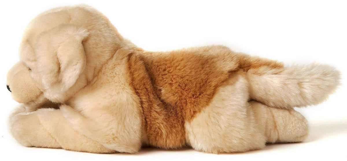 Peluche Golden Retriever, couché - 31 cm (longueur)