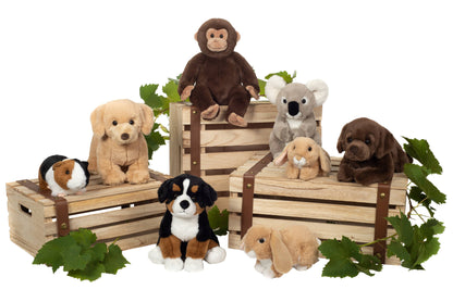 Sitting Monkey Plush