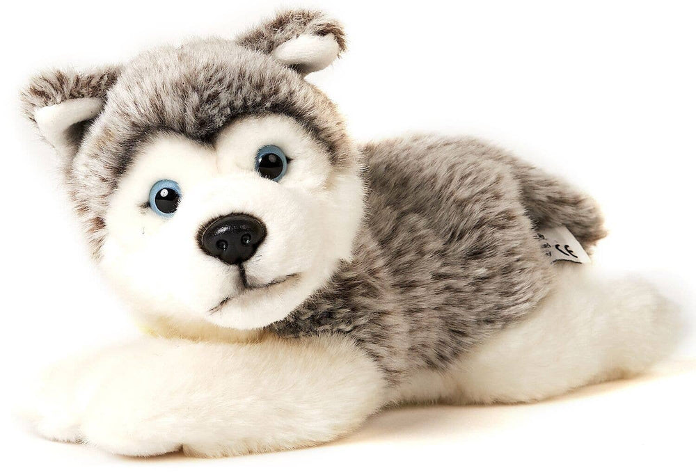 Peluche Chiot Husky Gris Couché - 23 cm (Longueur)