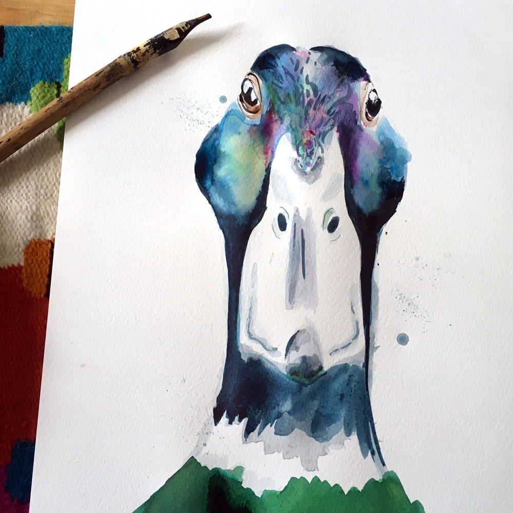 Grußkarte Aquarelle Canard Colvert