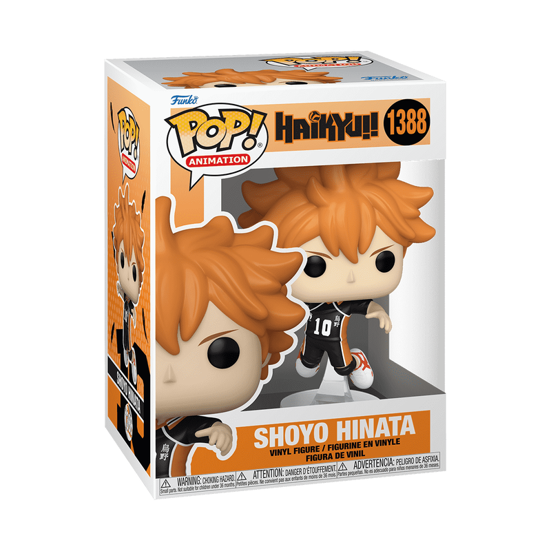 Shoyo Hinata 