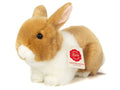 Peluche Lapin Beige et Blanc