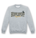 Sweat adulte Harry Potter Poufsouffle Collegiate gris chiné