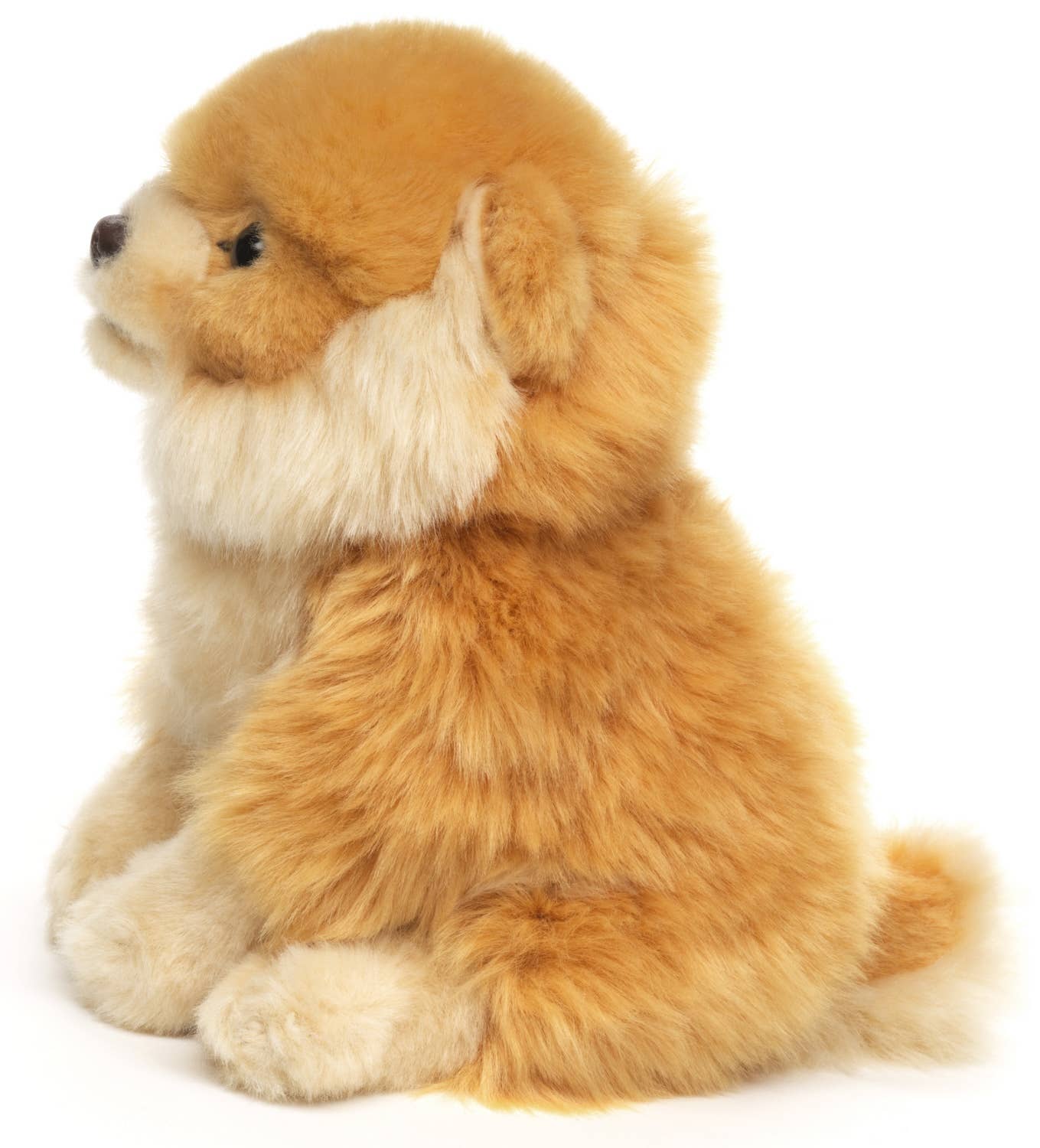 Peluche Spitz nain assis