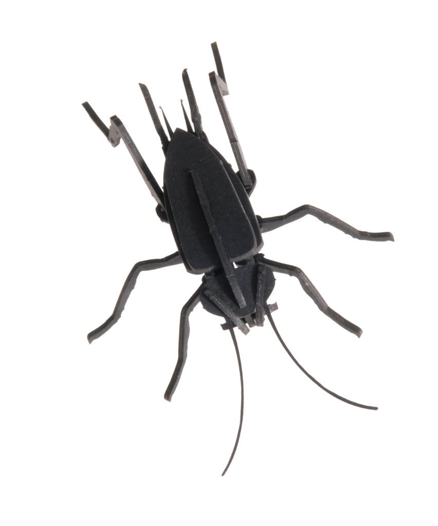 3D-Papiermodell - Criquet