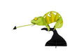 3D Papieren Model - Caméléon