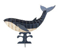 3D Papieren Model - Walvis Bleue