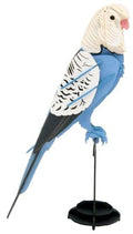 3D-Papiermodell - Perruche Ondulée