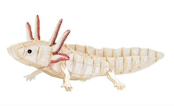 3D-papieren model - Axolotl