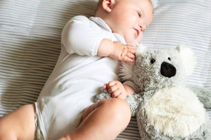 Warmies Koala Plush Hot Water Bottle