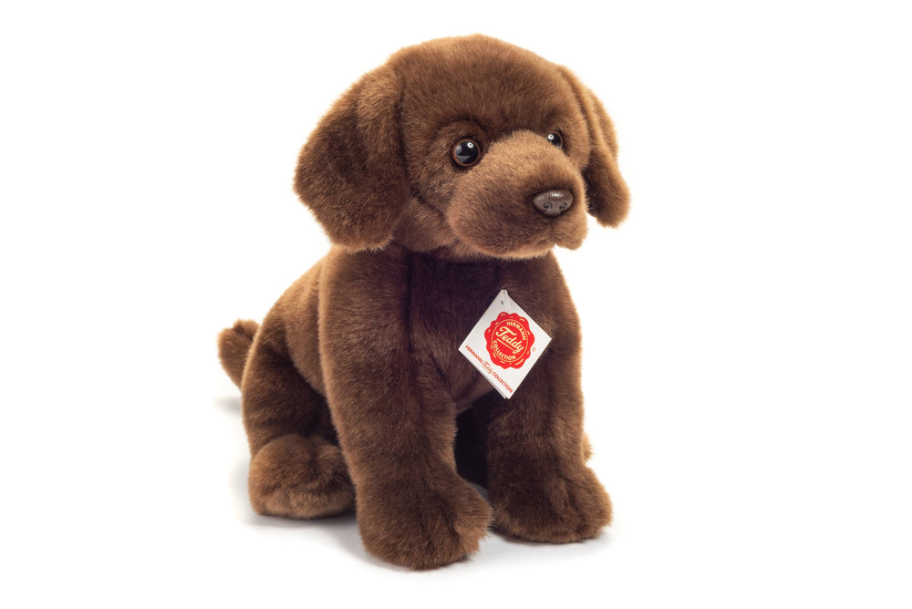Peluche Labrador Assis Marron Foncé – 25 cm