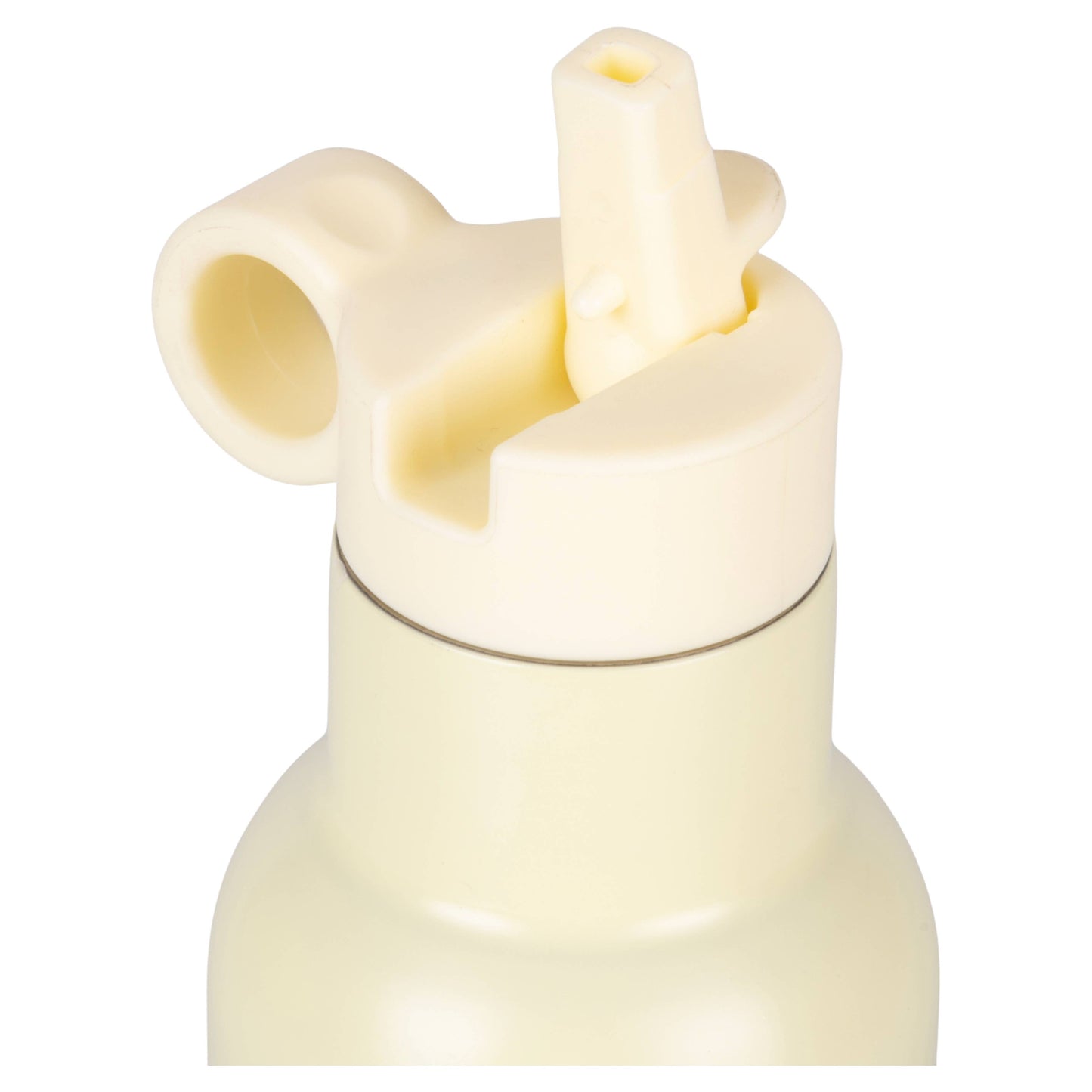 Children's Water Bottle - Little Safaris - Tiger