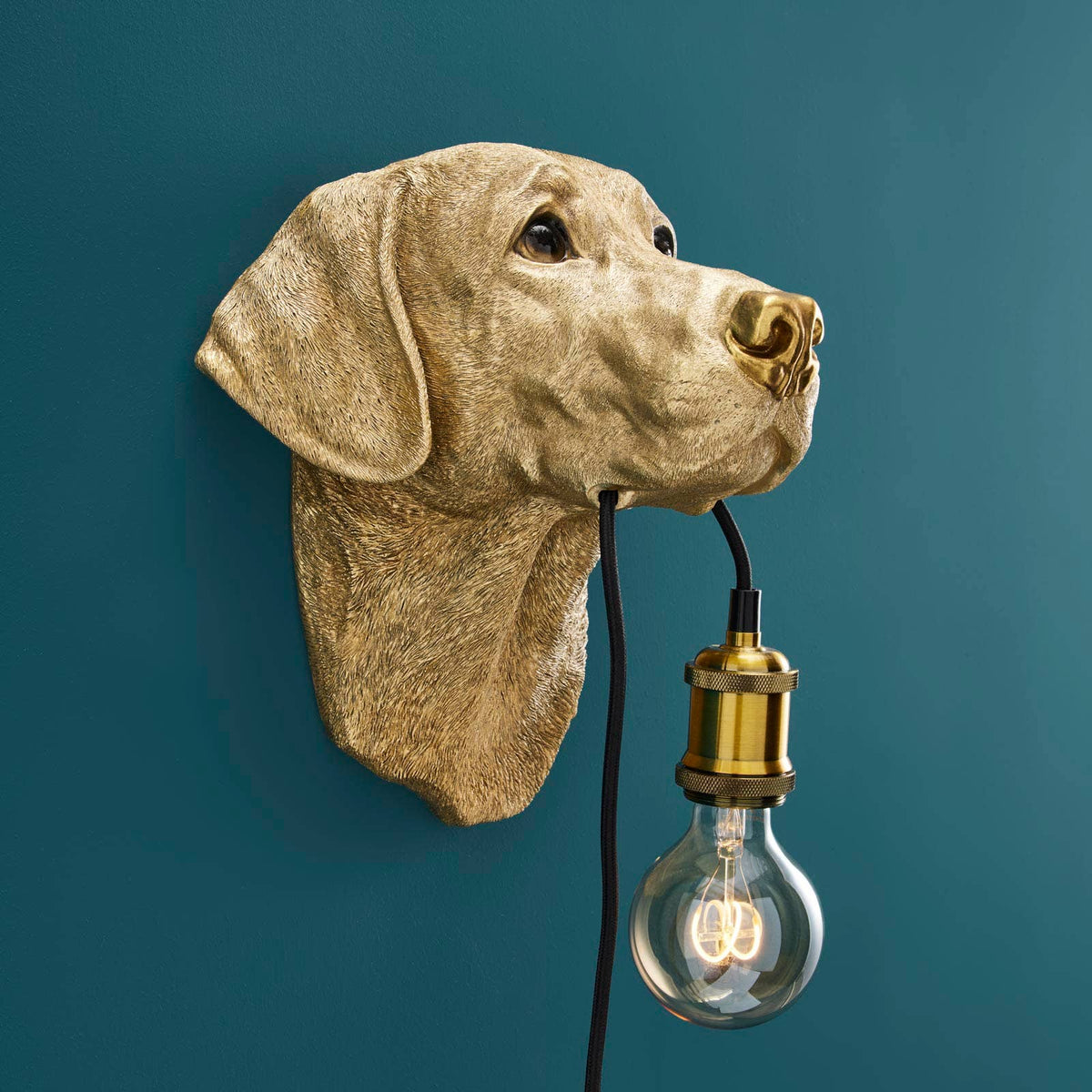 Applique murale Labrador "Lucky" or