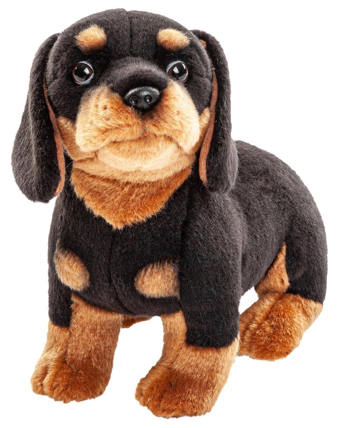Peluche Teckel (sans Laisse) - 27 cm (Longueur)