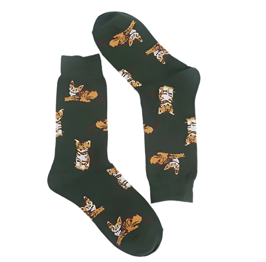 chaussettes chaton mrcol