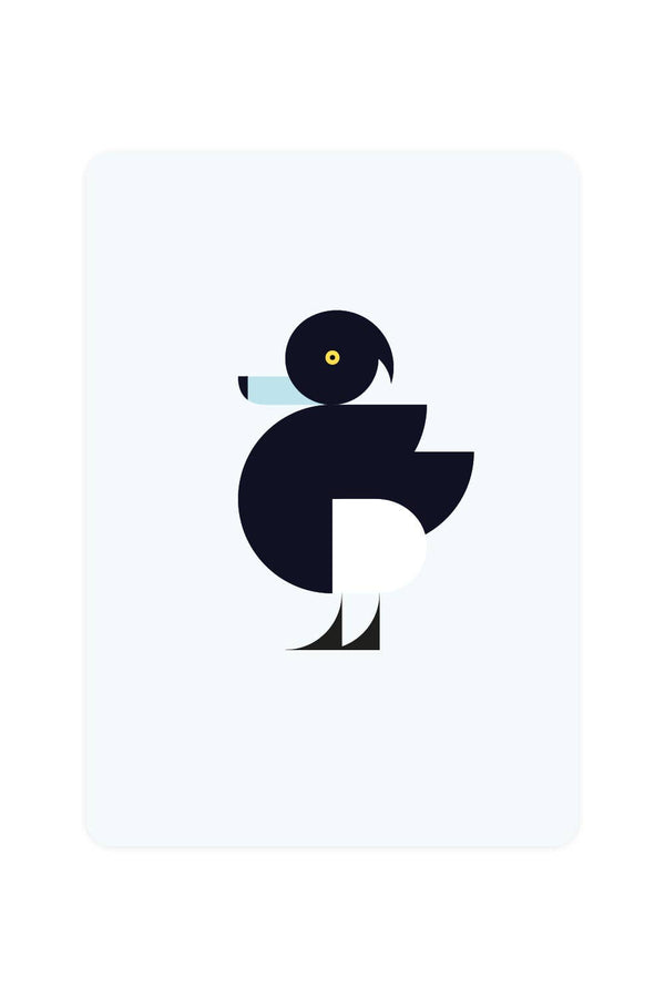 Lot de 10 cartes postales sans texte